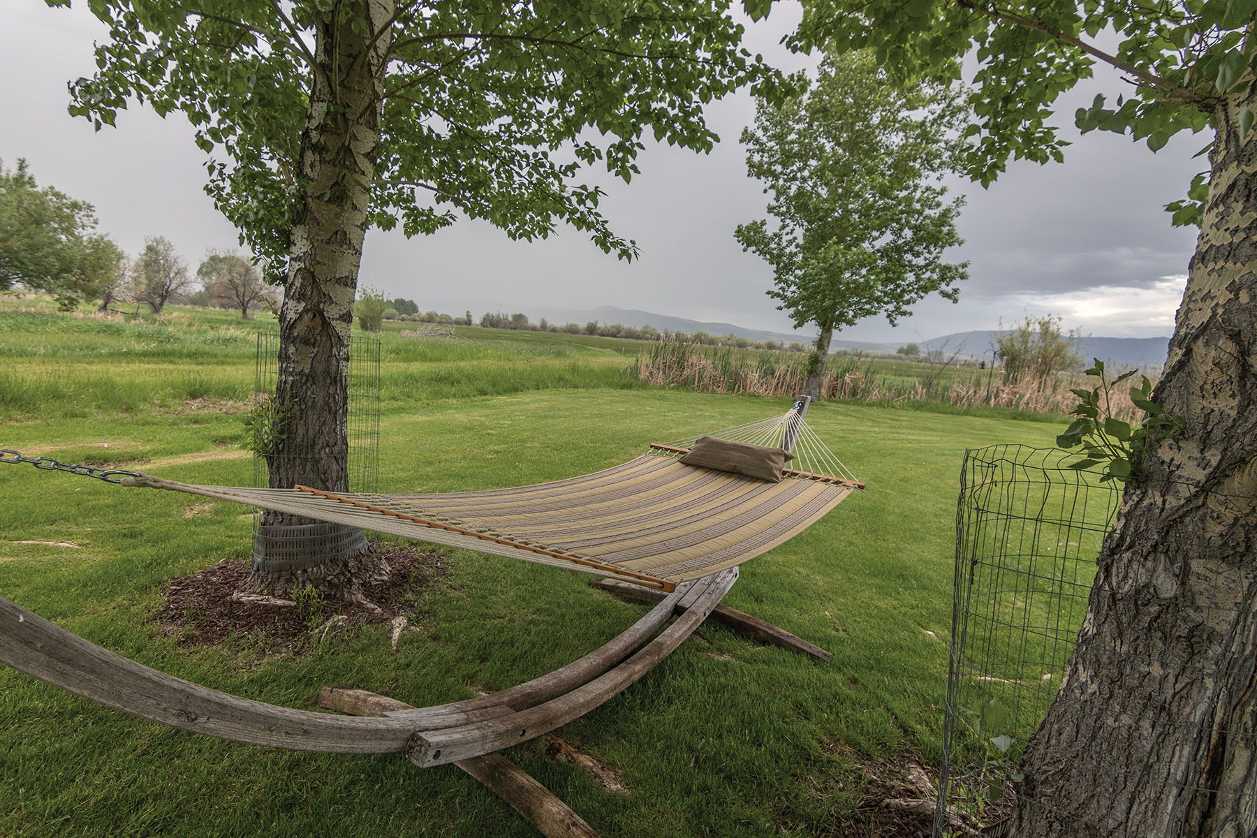 Bullrun Spring Creek Ranch property picture 63 of 66