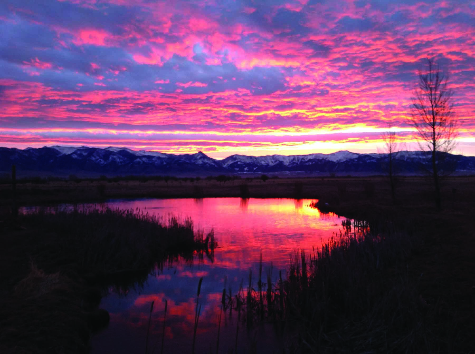Bullrun Spring Creek Ranch property picture 66 of 66