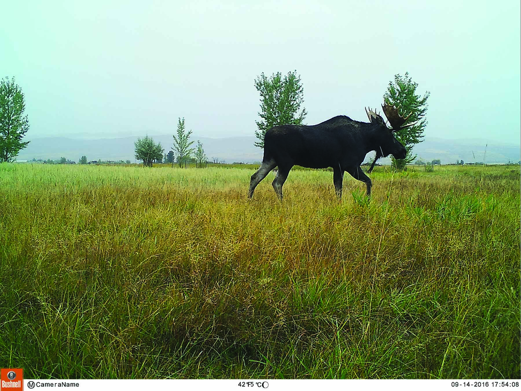 Bullrun Spring Creek Ranch property picture 57 of 66