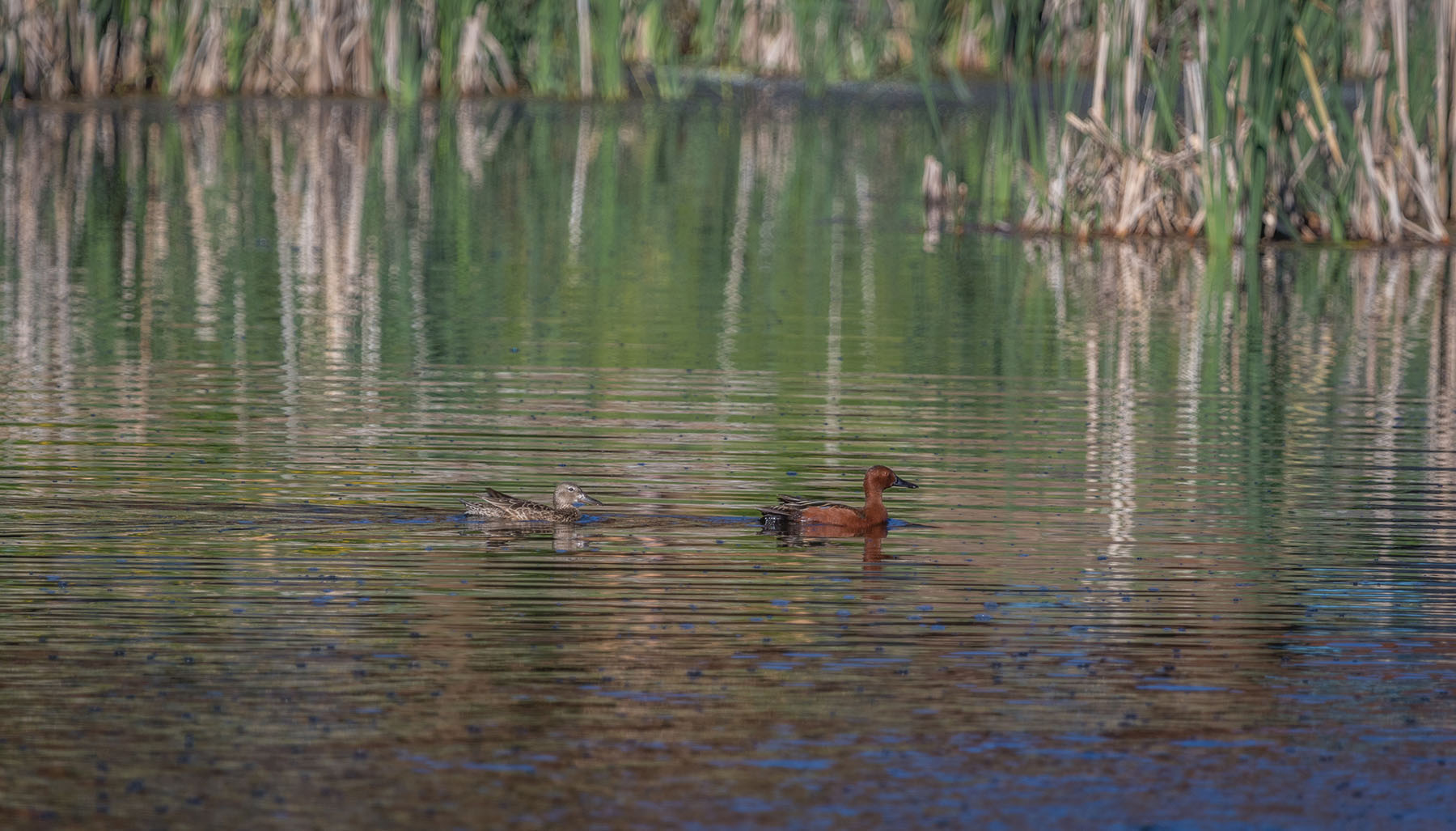 Bullrun Spring Creek Ranch property picture 47 of 66