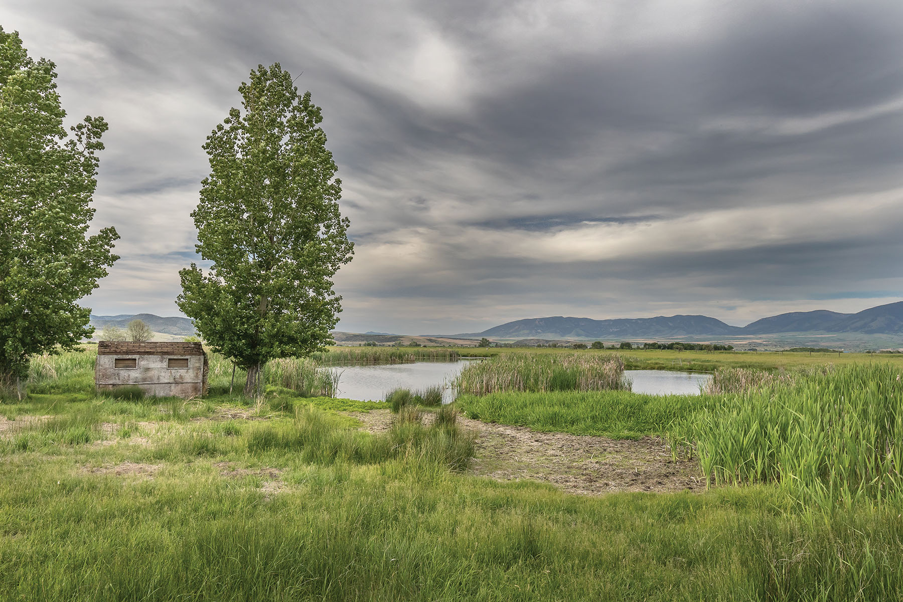 Bullrun Spring Creek Ranch property picture 41 of 66