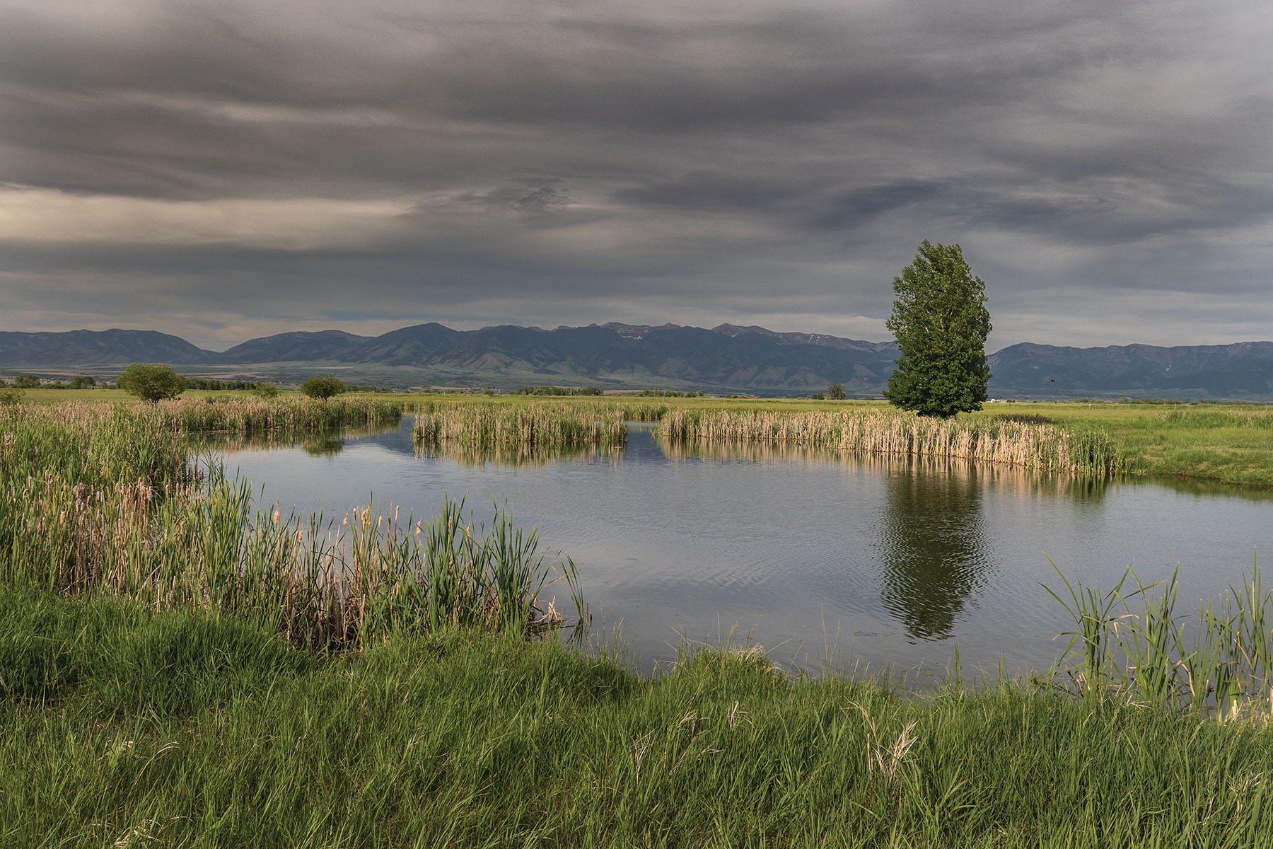 Bullrun Spring Creek Ranch property picture 52 of 66