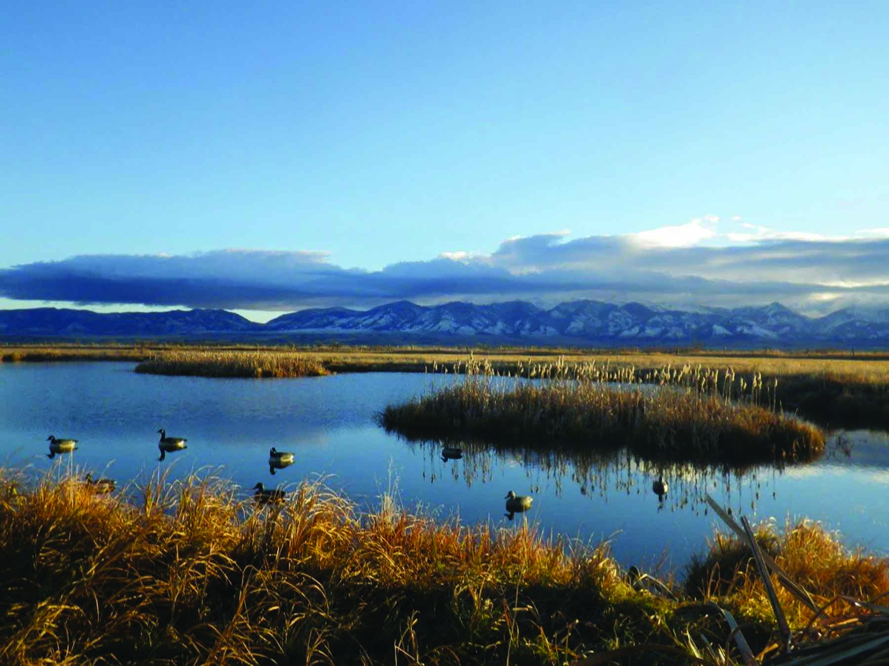 Bullrun Spring Creek Ranch property picture 44 of 66