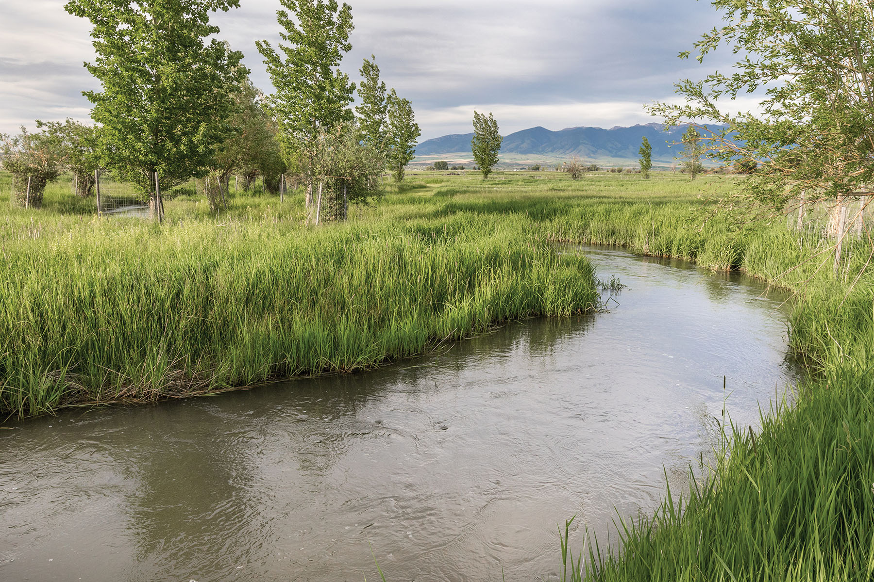 Bullrun Spring Creek Ranch property picture 55 of 66
