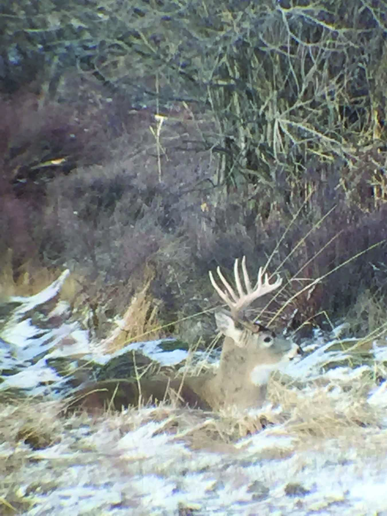 Bullrun Spring Creek Ranch property picture 65 of 66