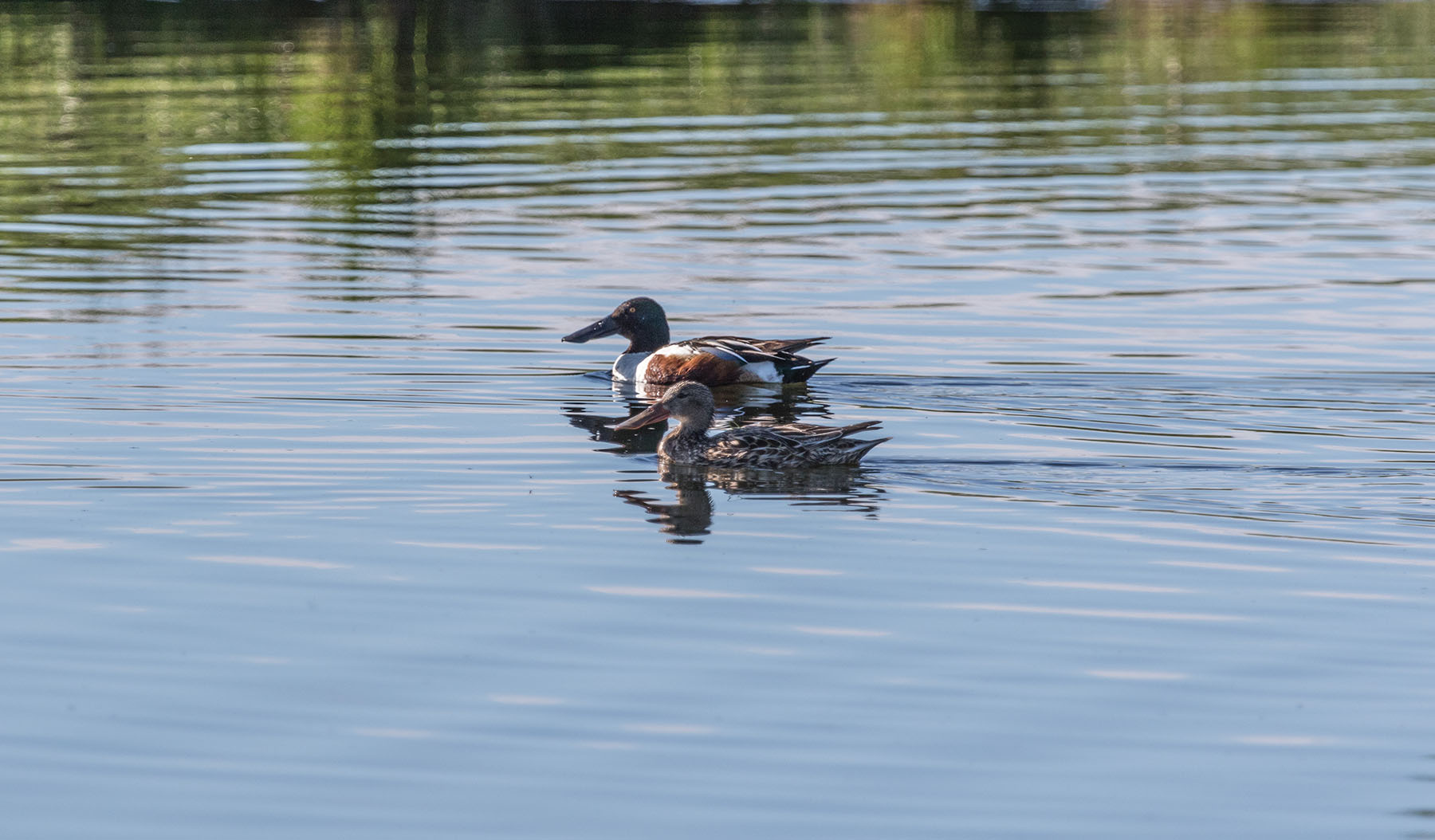 Bullrun Spring Creek Ranch property picture 24 of 66