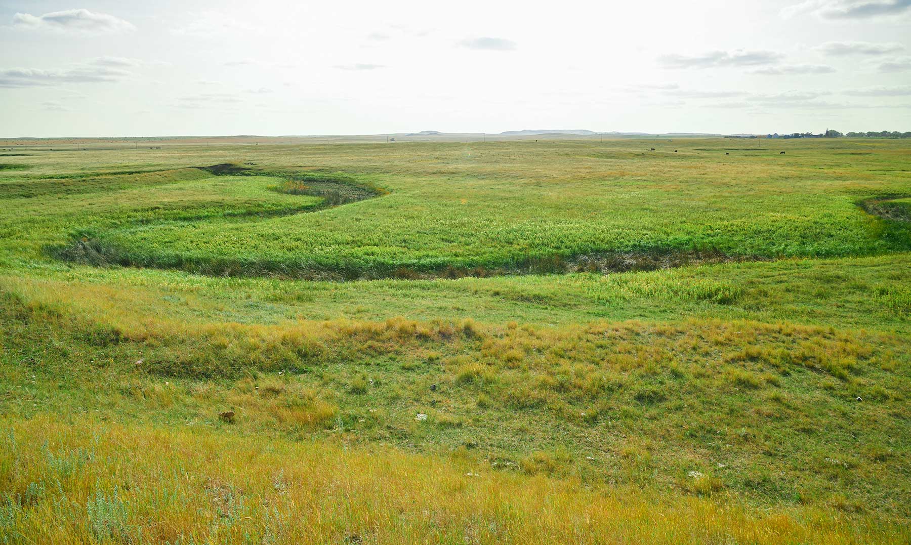 Bowman County Farms property picture 50 of 57