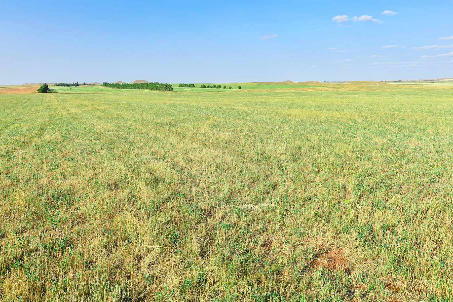 Bowman County Farms property picture 54 of 57