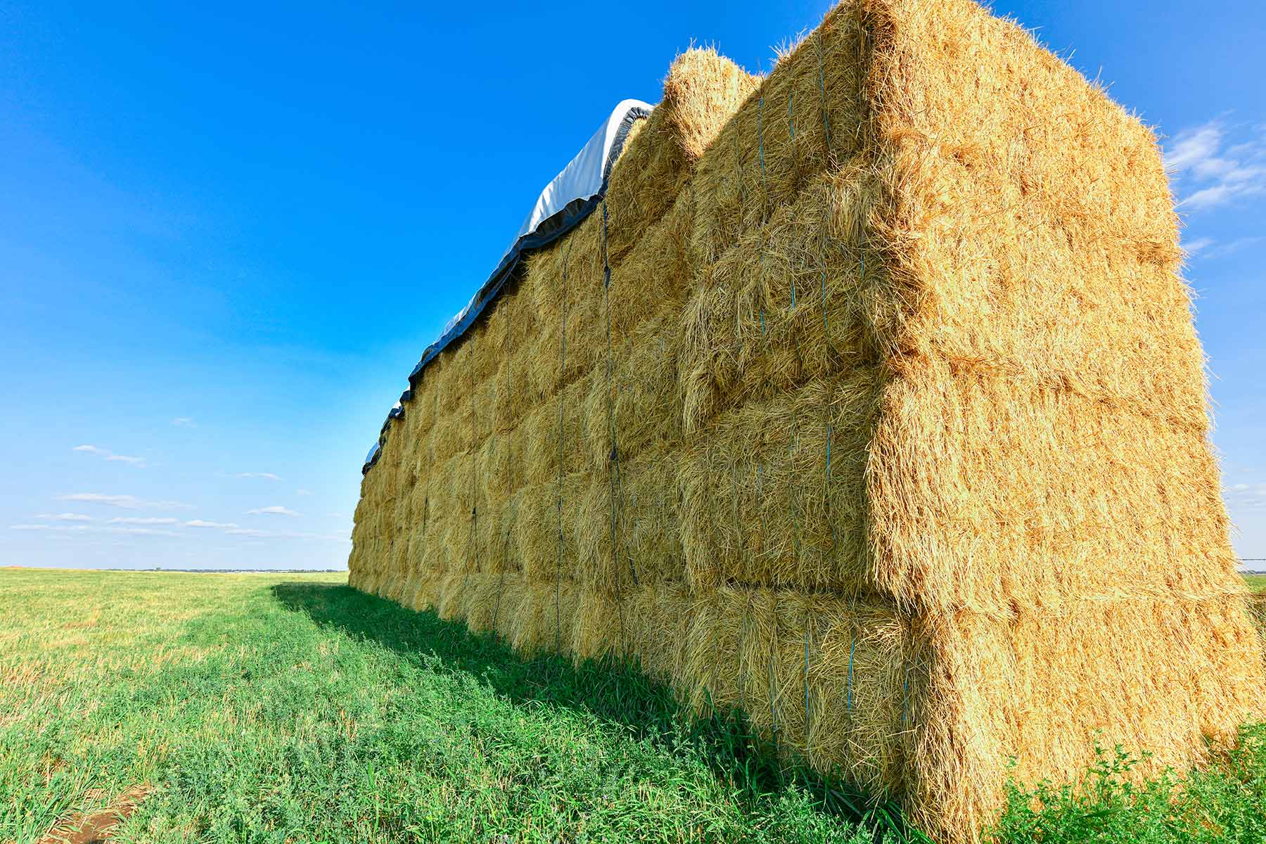 Bowman County Farms property picture 14 of 57