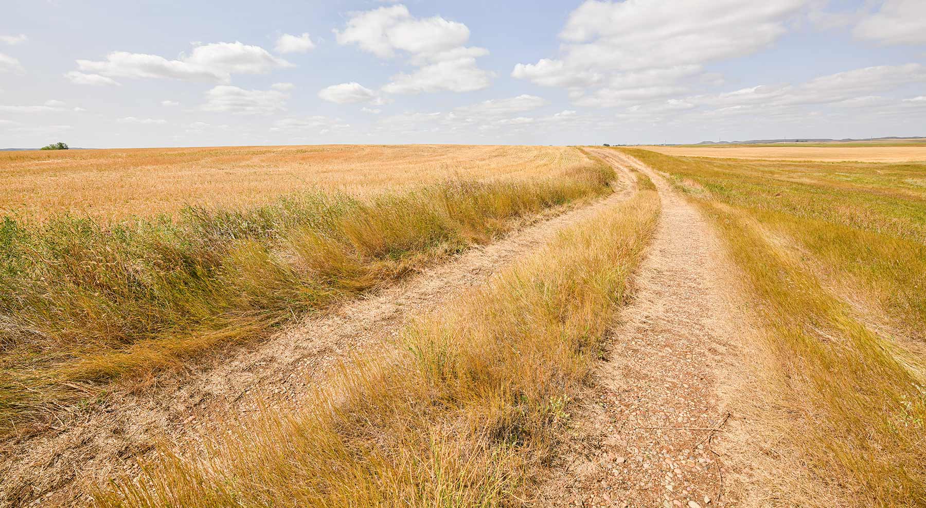 Bowman County Farms property picture 33 of 57