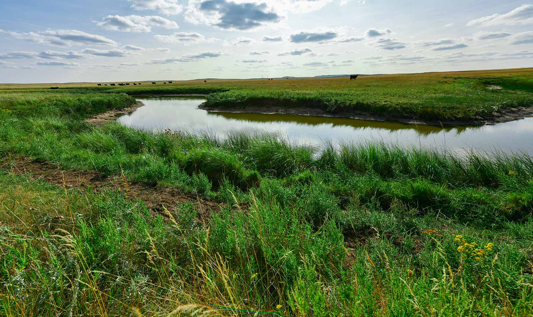 Bowman County Farms property picture 22 of 57