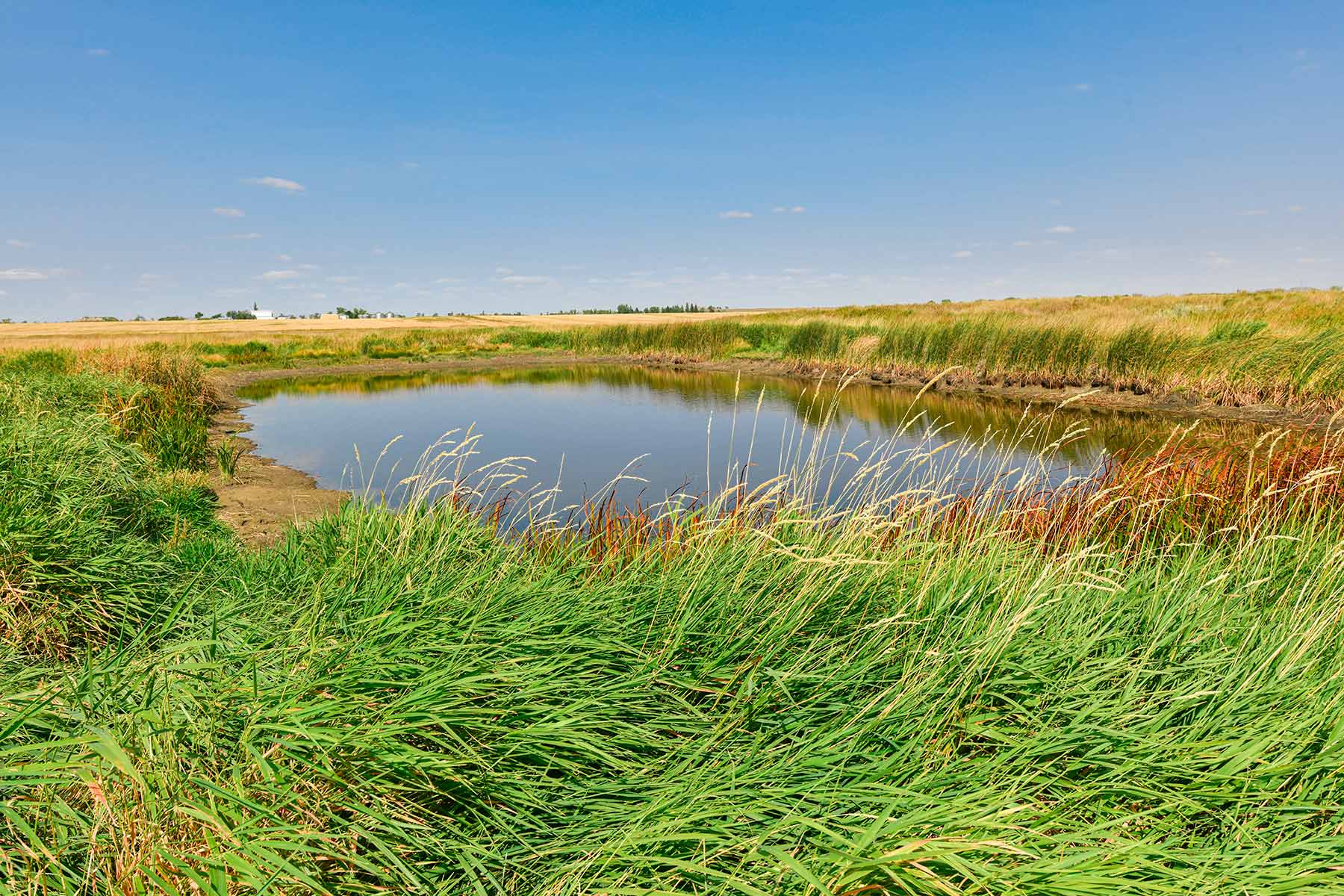 Bowman County Farms property picture 7 of 57