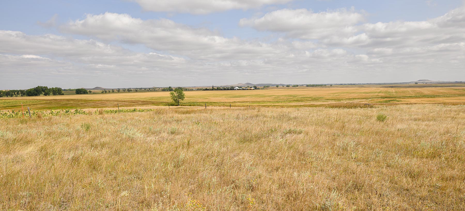 Bowman County Farms property picture 27 of 57