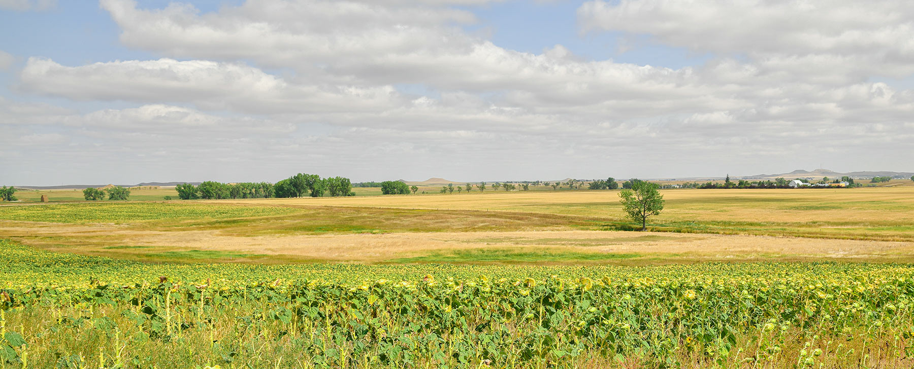 Bowman County Farms property picture 11 of 57