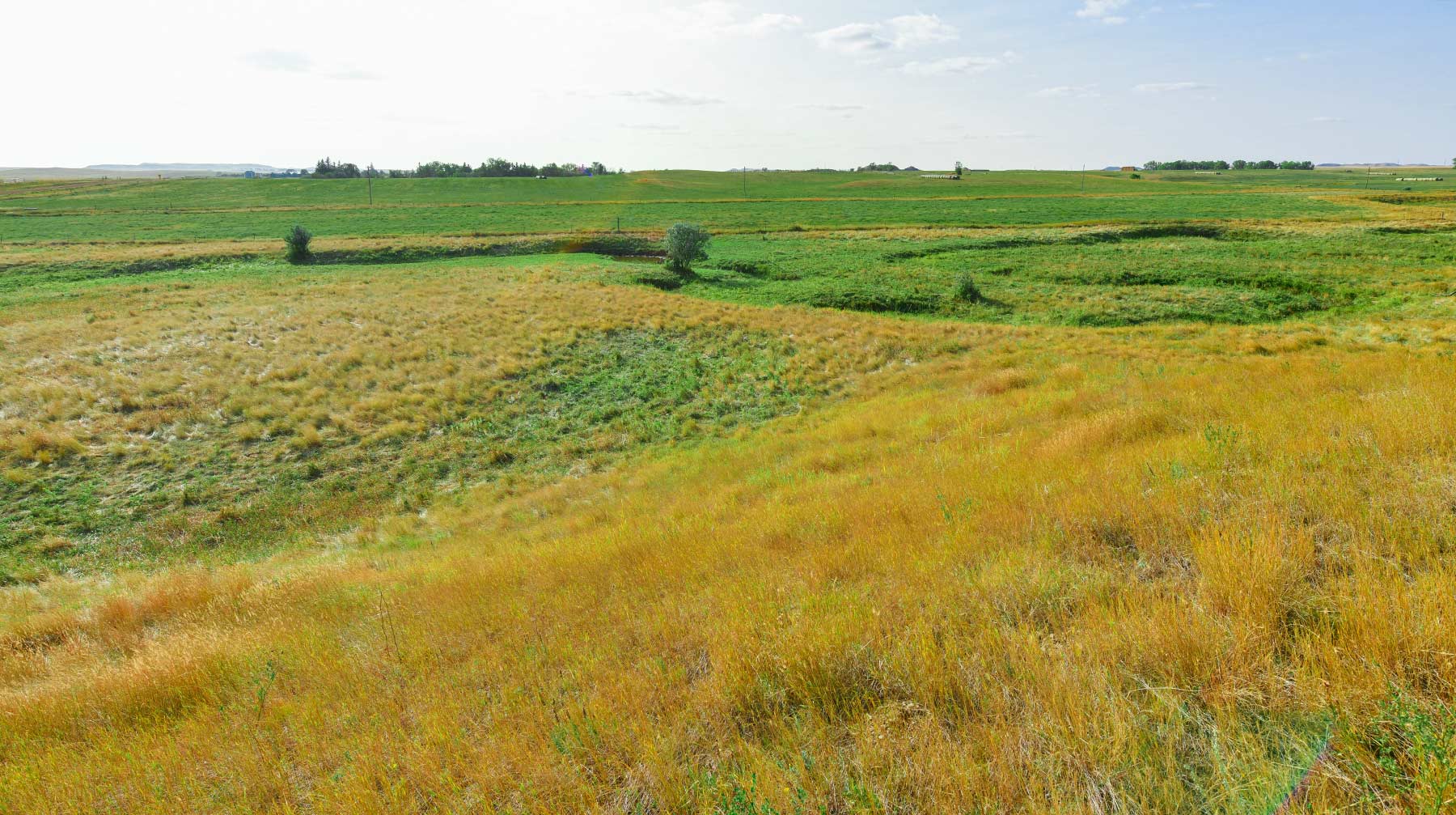 Bowman County Farms property picture 16 of 57