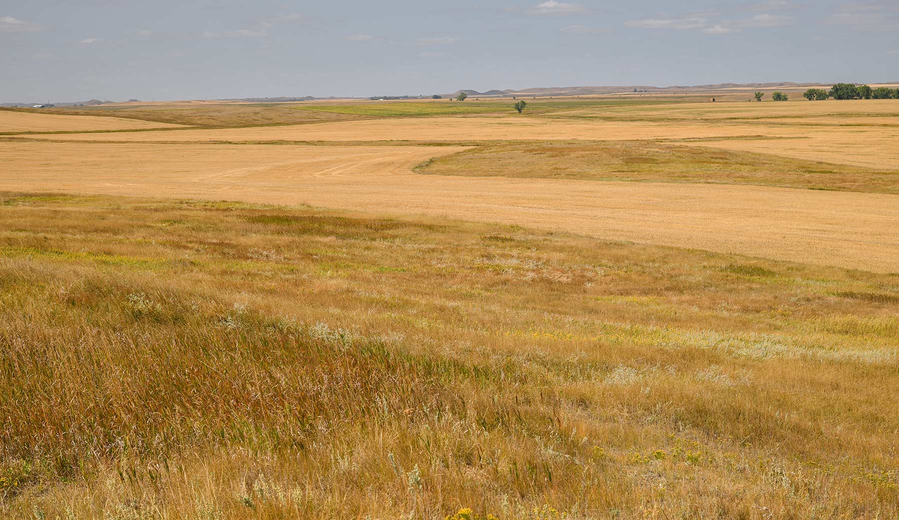Bowman County Farms property picture 39 of 57