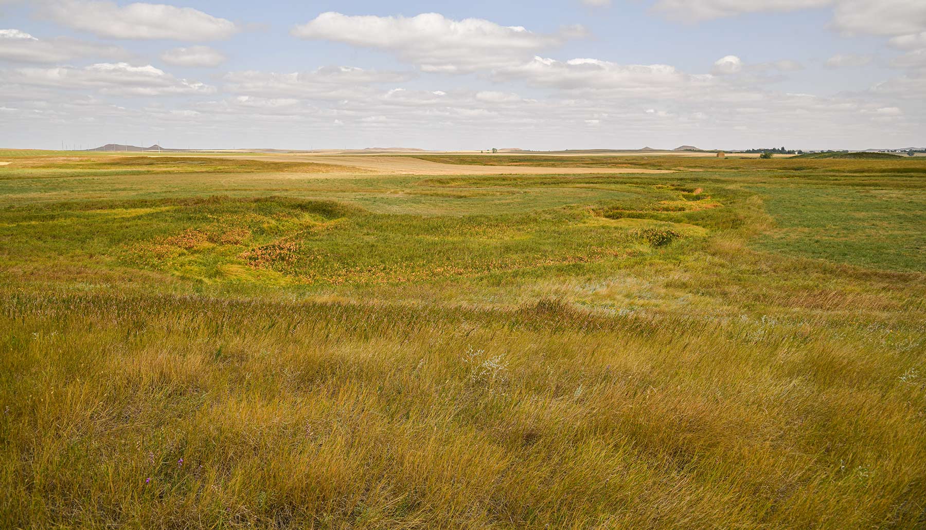 Bowman County Farms property picture 32 of 57