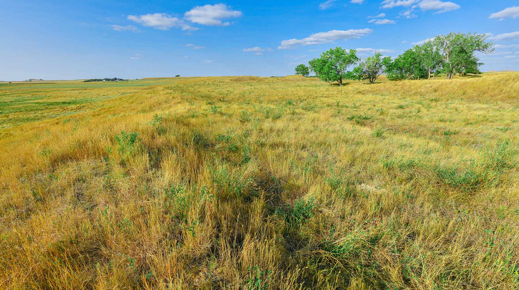 Bowman County Farms property picture 15 of 57