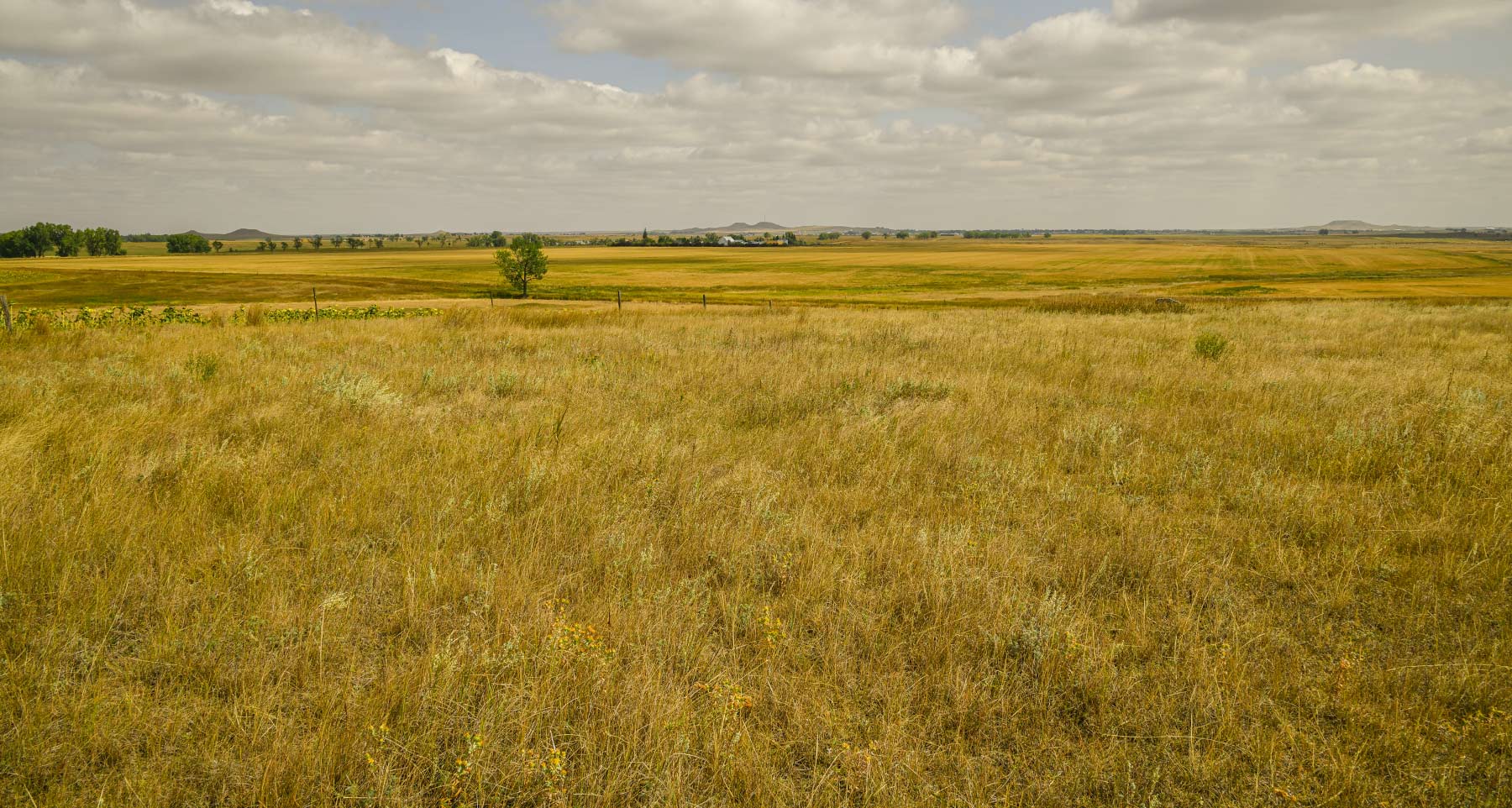 Bowman County Farms property picture 28 of 57