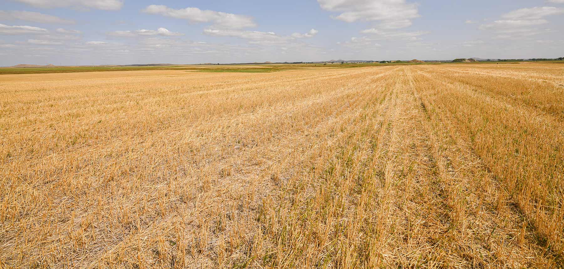 Bowman County Farms property picture 34 of 57