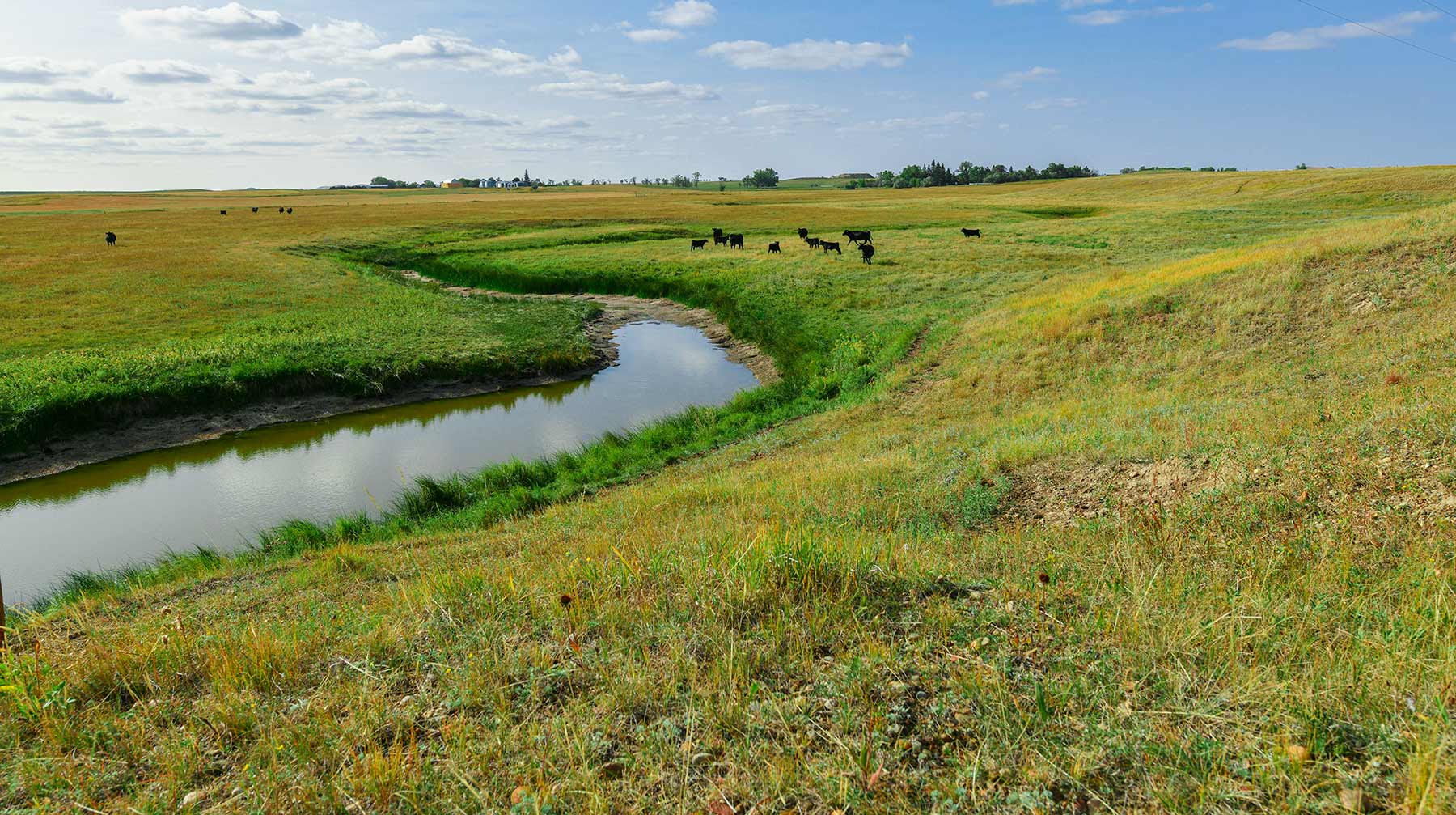 Bowman County Farms property picture 5 of 57