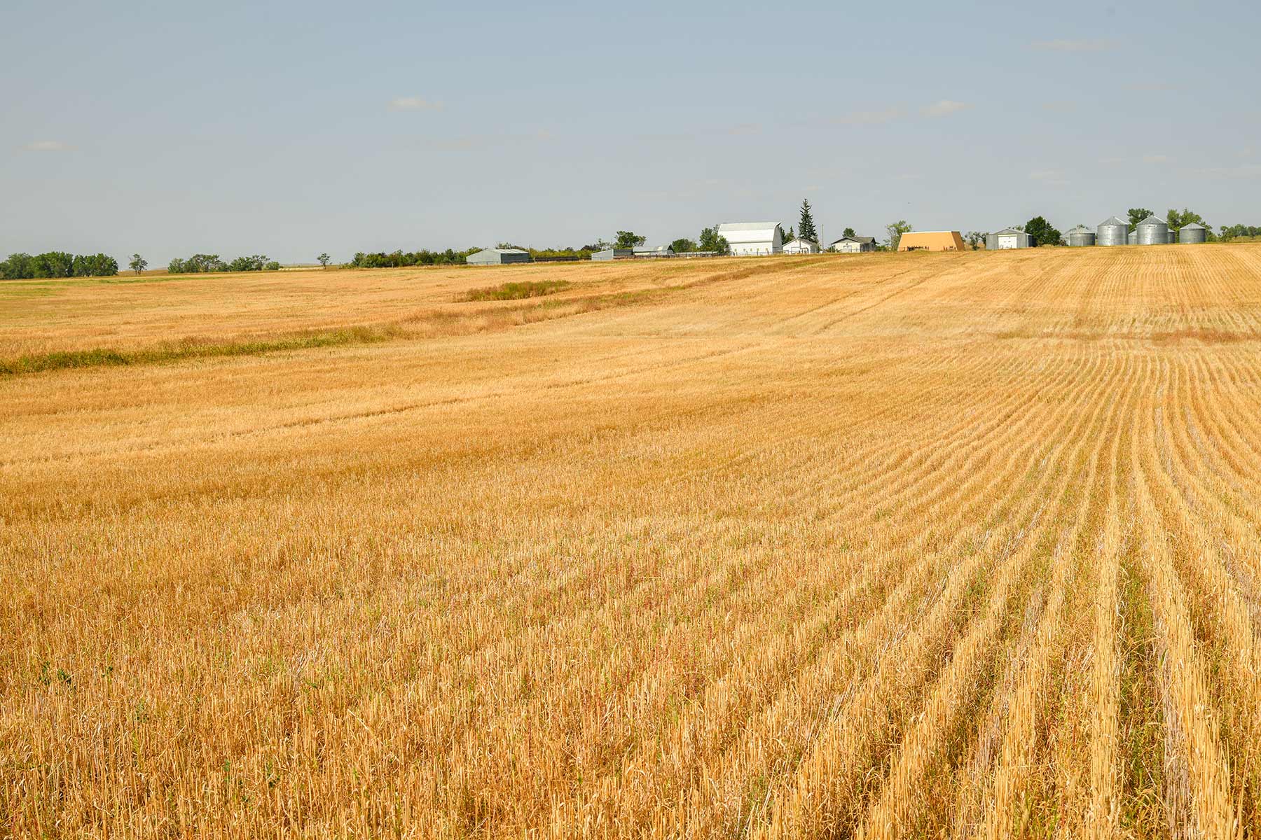 Bowman County Farms property picture 41 of 57