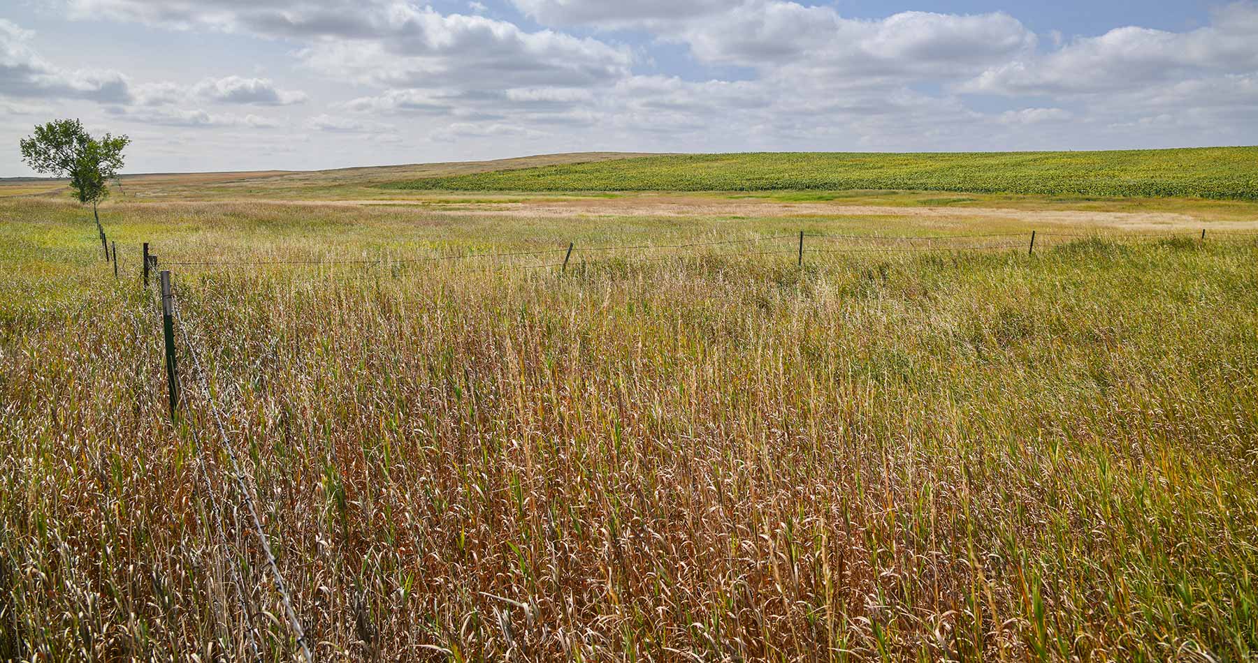 Bowman County Farms property picture 26 of 57