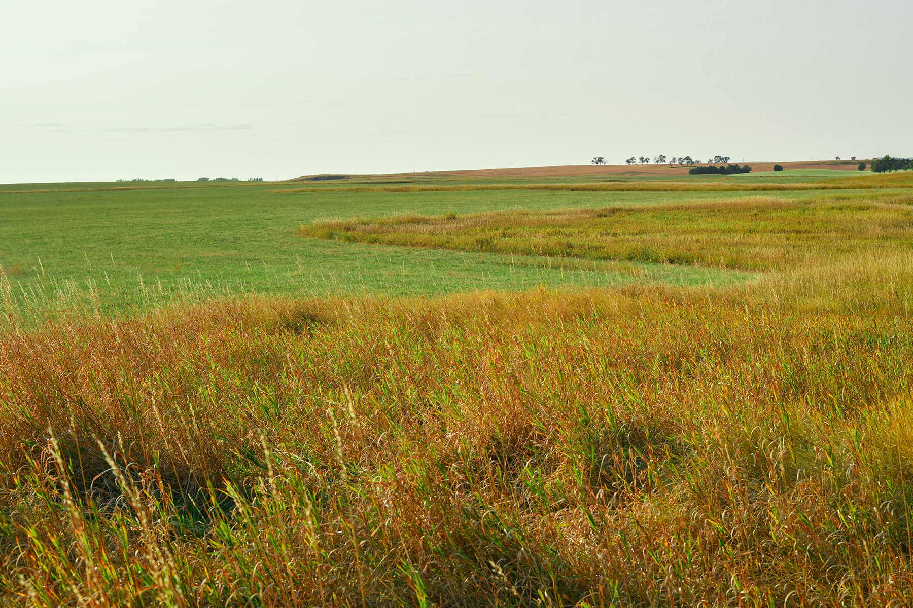 Bowman County Farms property picture 56 of 57