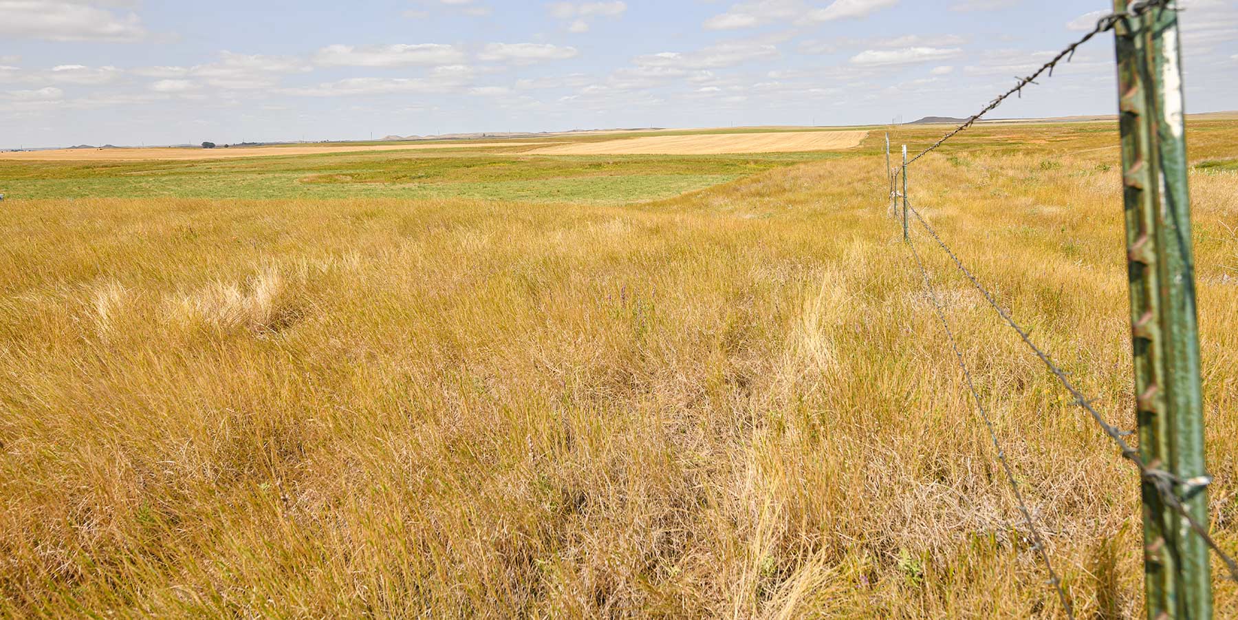 Bowman County Farms property picture 37 of 57