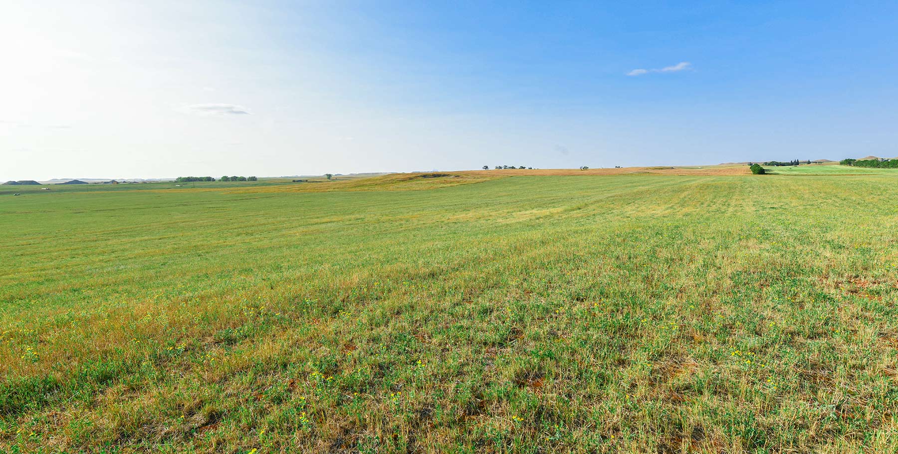 Bowman County Farms property picture 52 of 57
