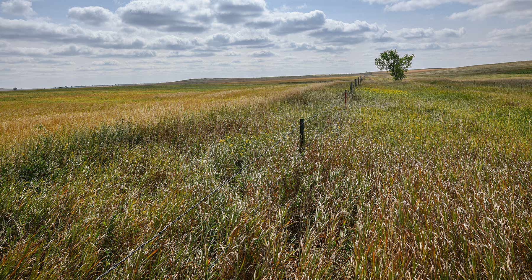 Bowman County Farms property picture 9 of 57