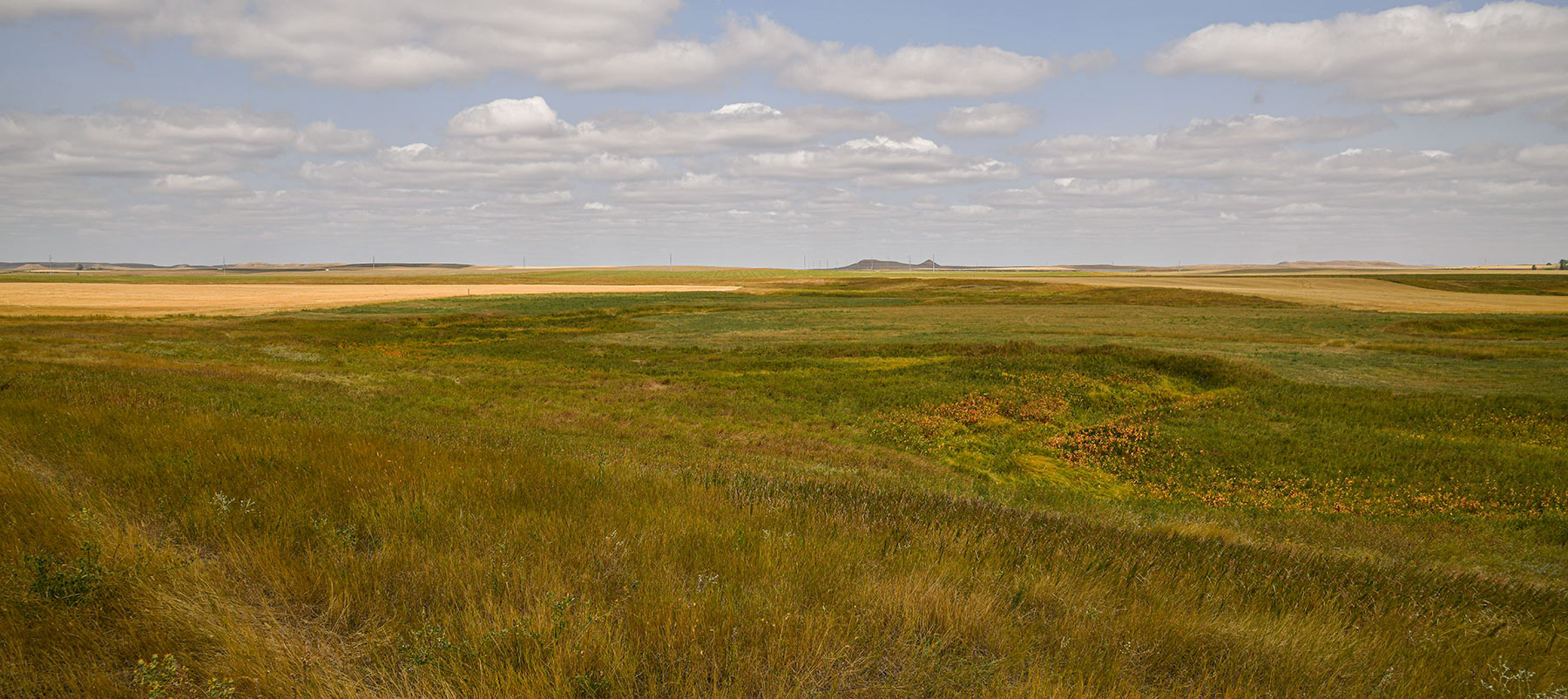 Bowman County Farms property picture 31 of 57