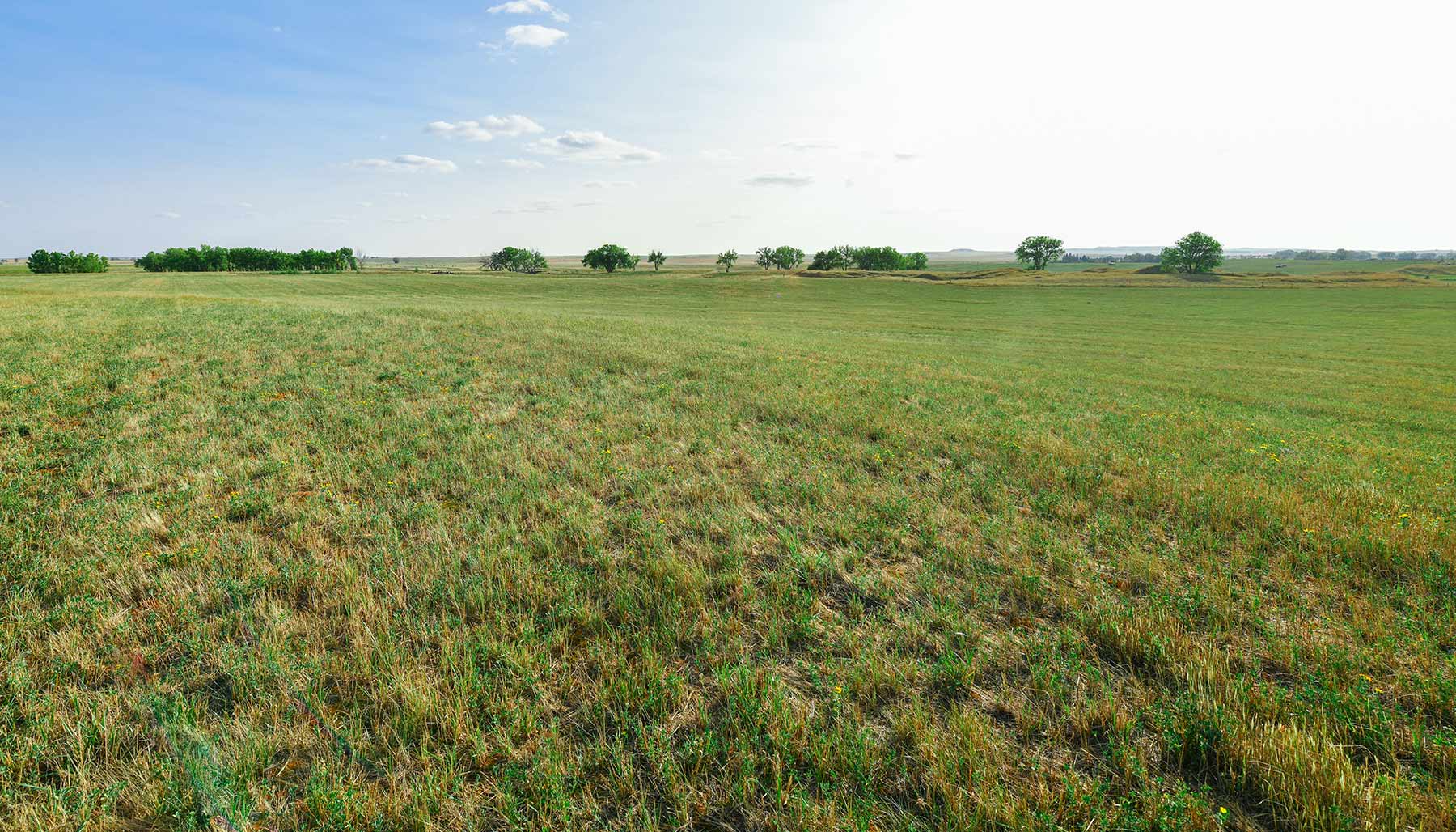 Bowman County Farms property picture 53 of 57