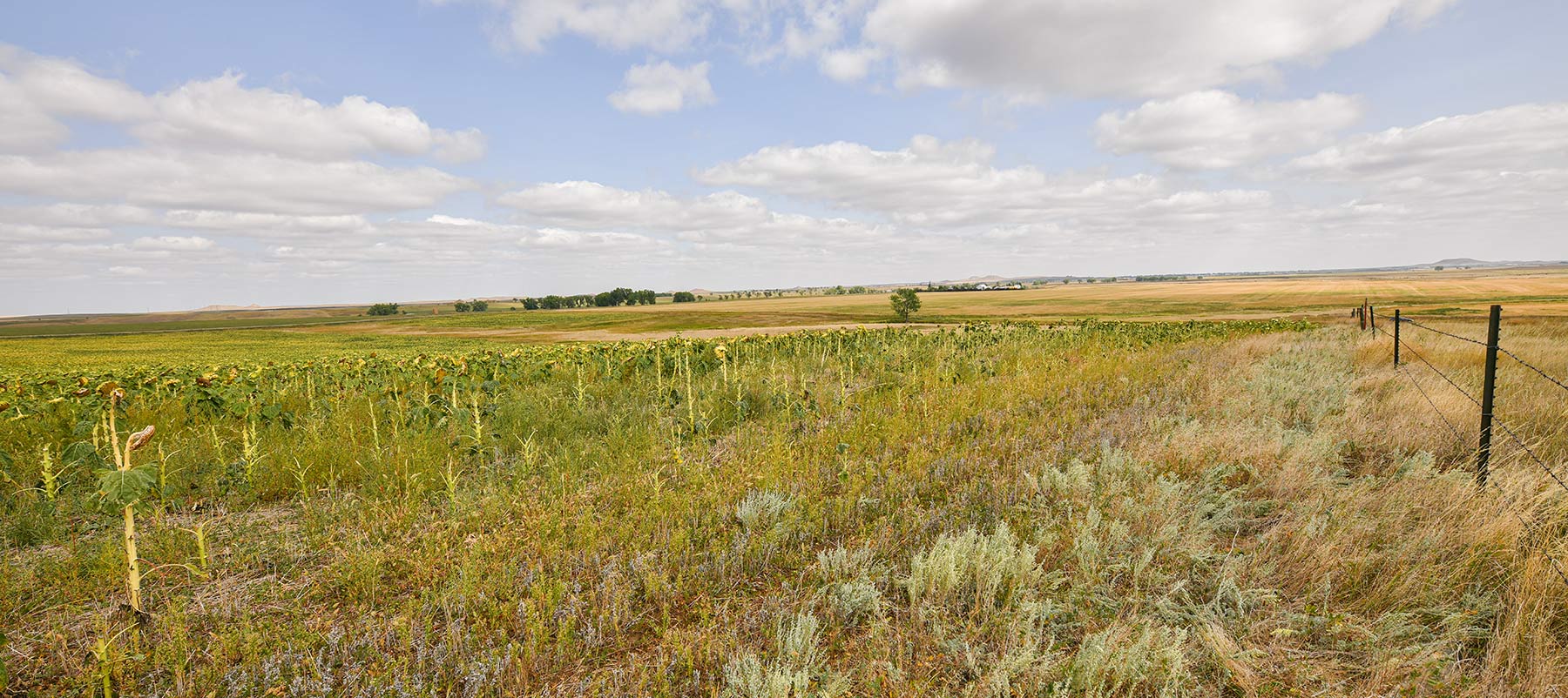 Bowman County Farms property picture 30 of 57