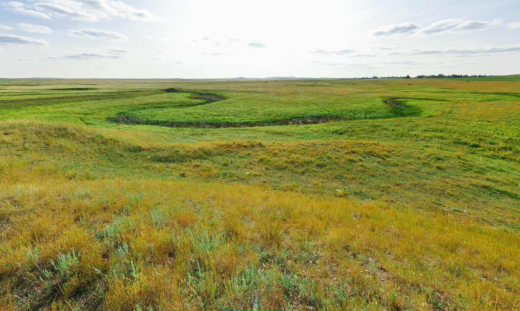 Bowman County Farms property picture 51 of 57