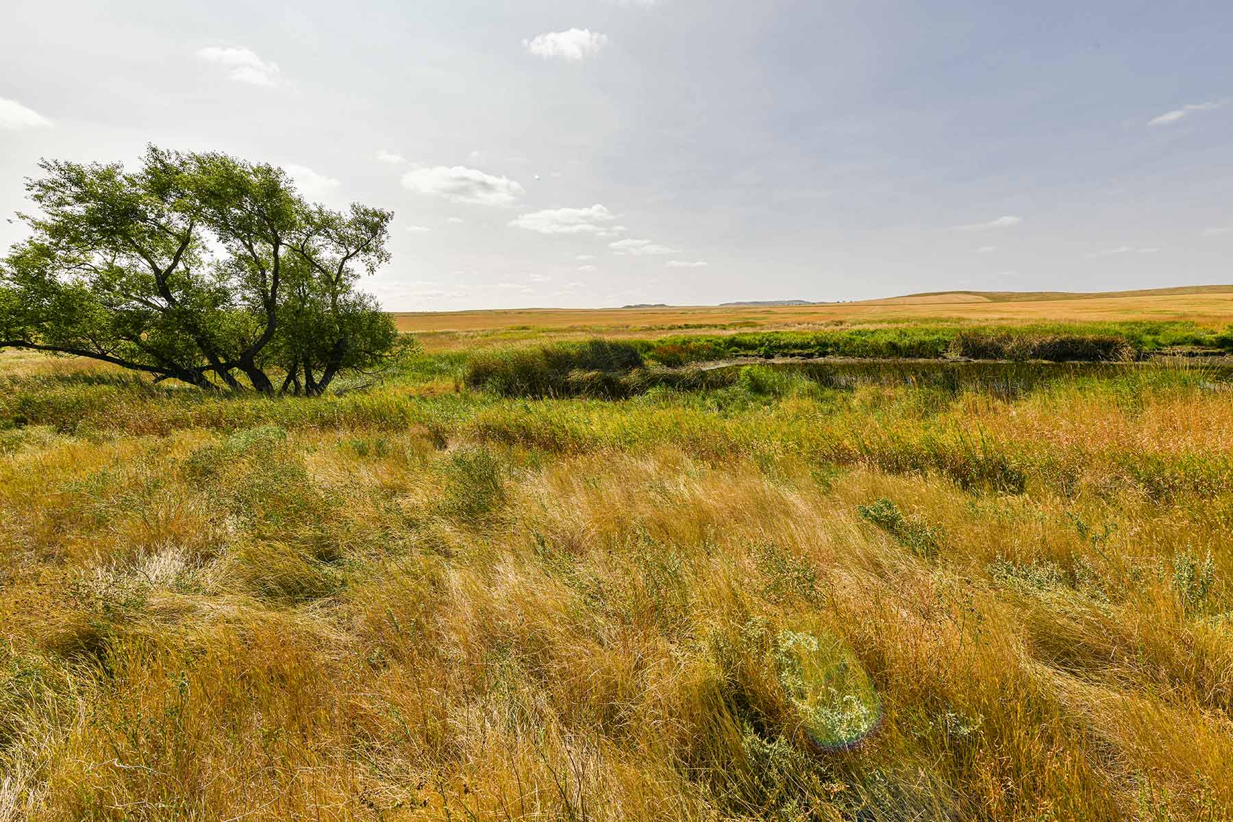 Bowman County Farms property picture 40 of 57