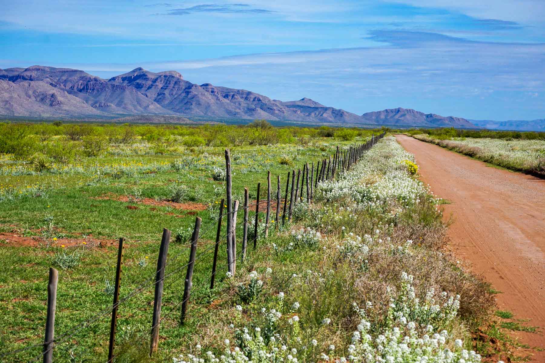 Wildhorse Ranch property picture 11 of 22