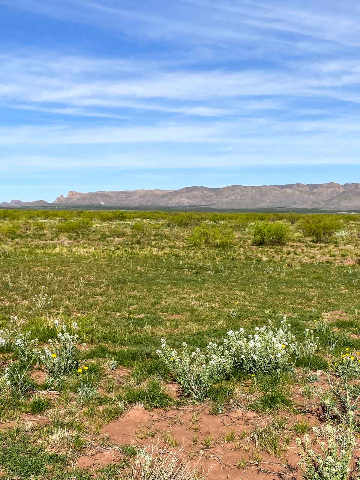 Wildhorse Ranch property picture 6 of 22