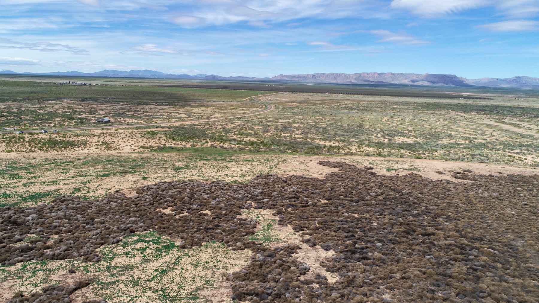 Wildhorse Ranch property picture 15 of 22