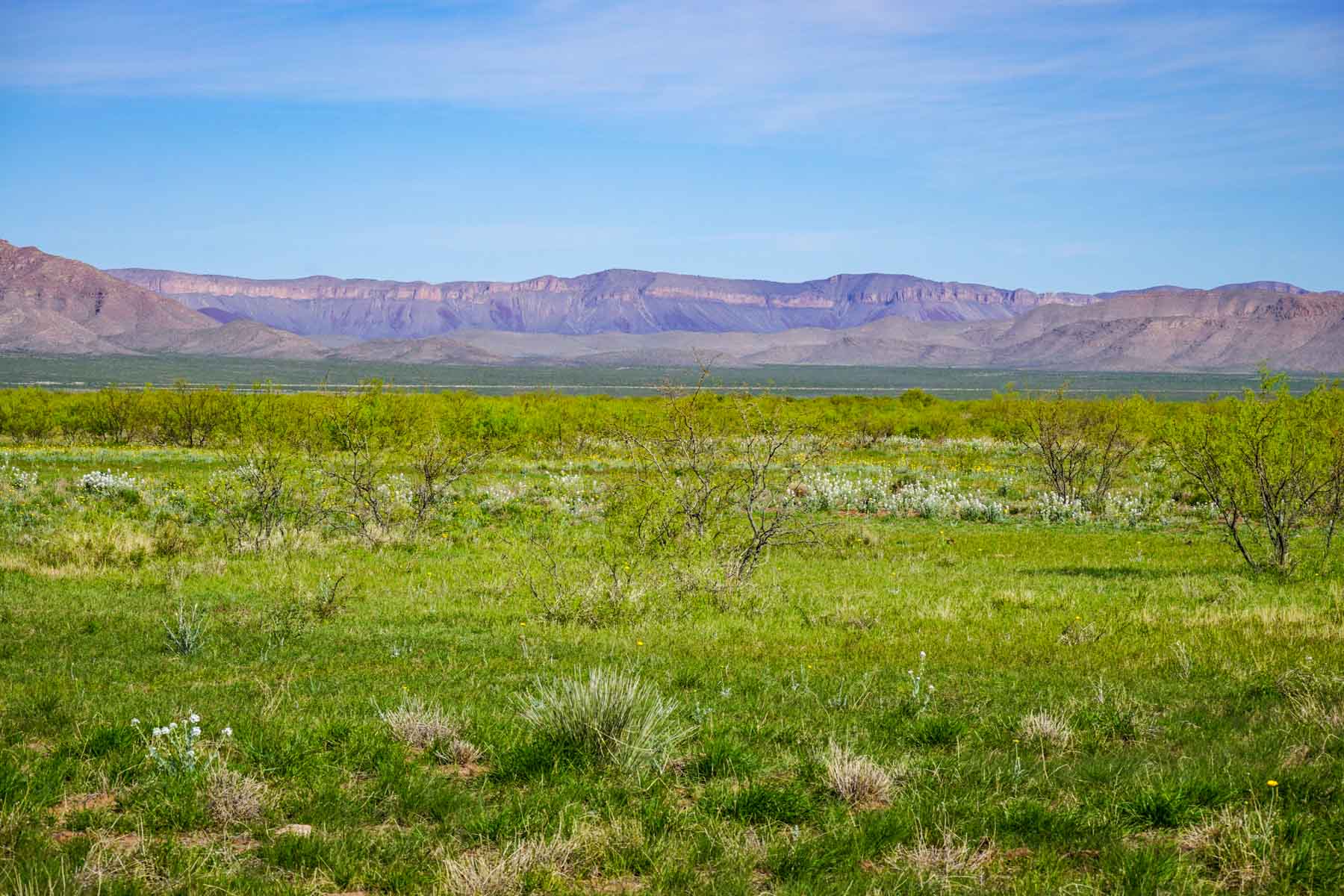 Wildhorse Ranch property picture 9 of 22