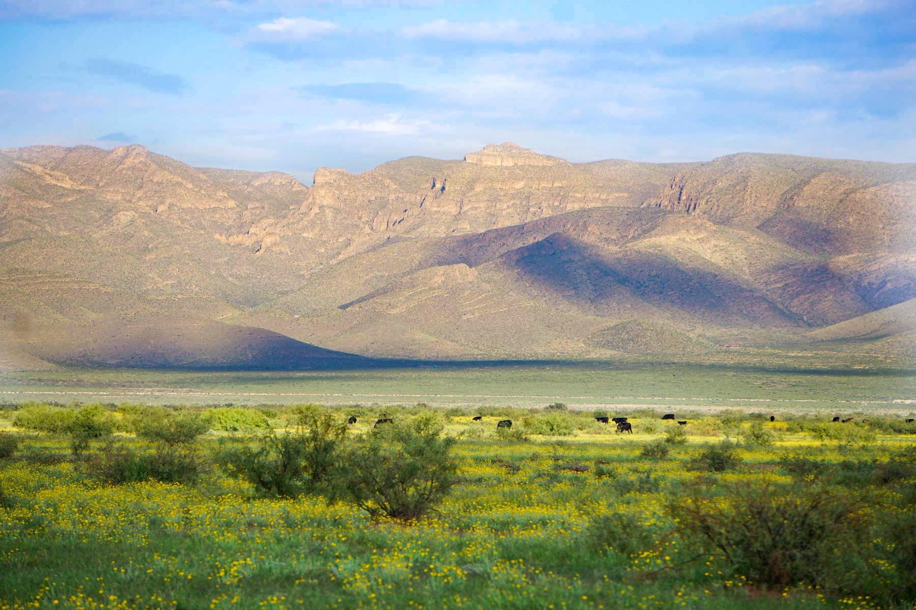 Wildhorse Ranch property picture 14 of 22