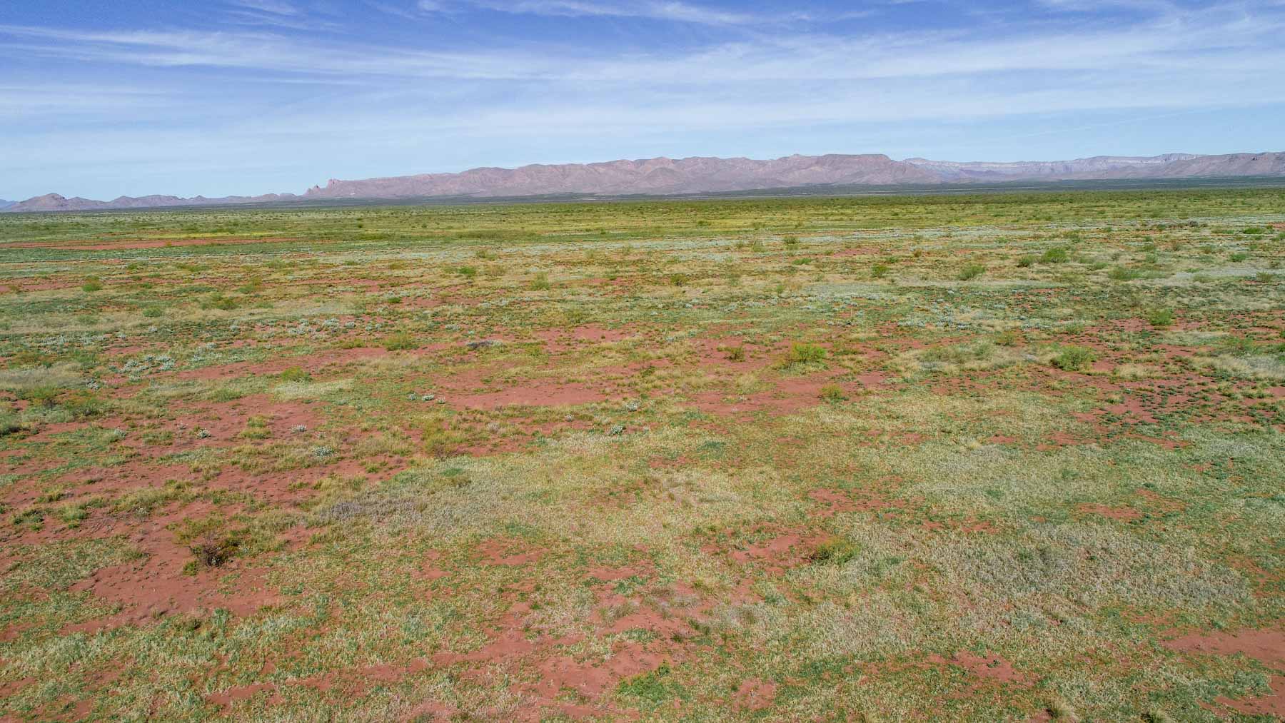 Wildhorse Ranch property picture 19 of 22