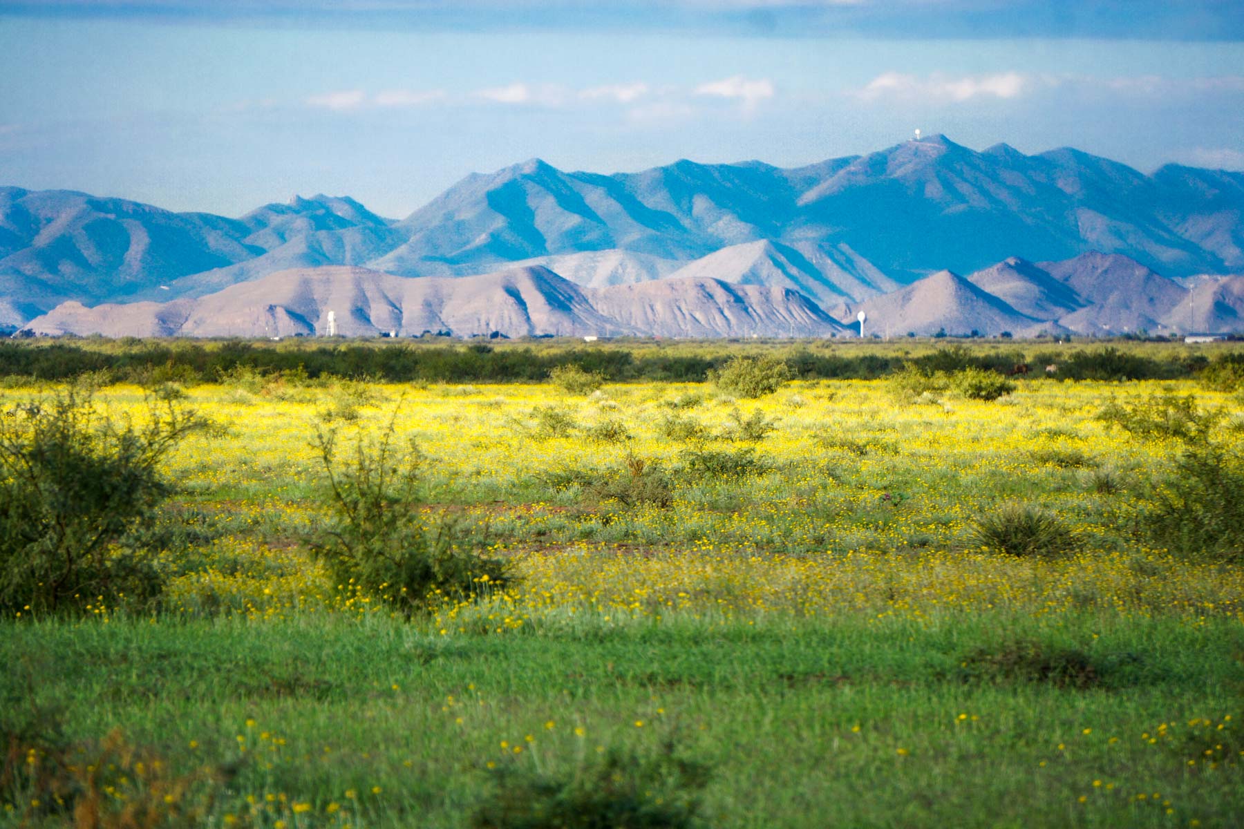 Wildhorse Ranch property picture 4 of 22