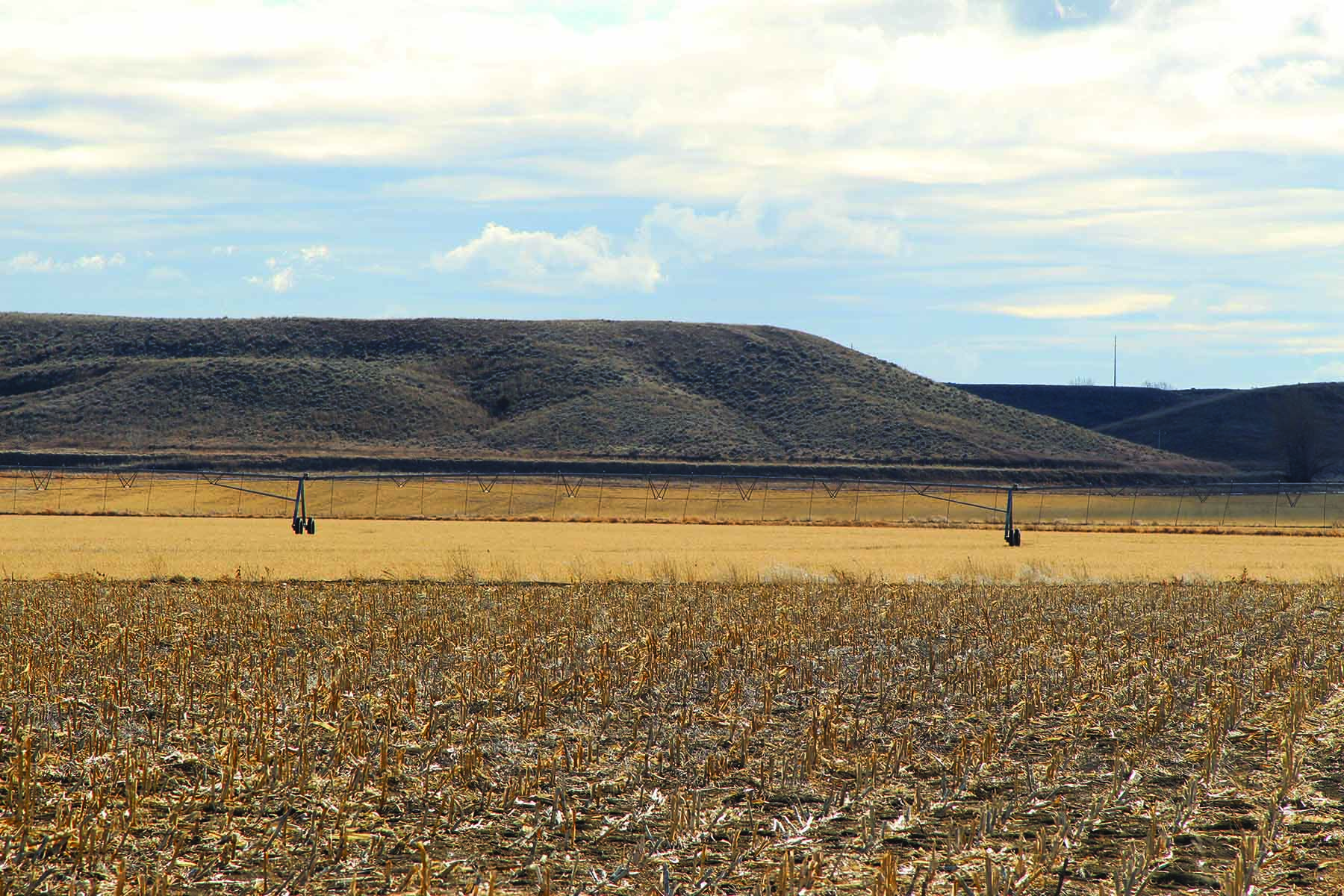 71 Ranch Hysham Farm property picture 11 of 13