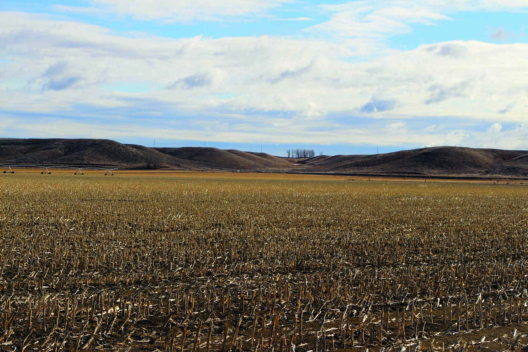 71 Ranch Hysham Farm property picture 12 of 13