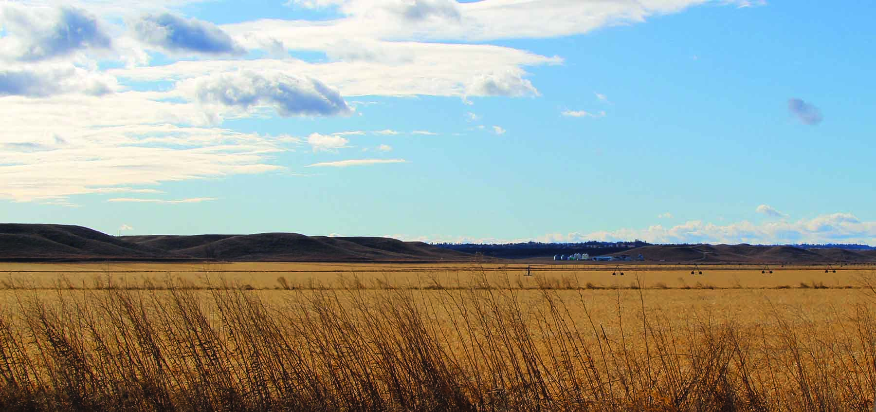 71 Ranch Hysham Farm property picture 7 of 13