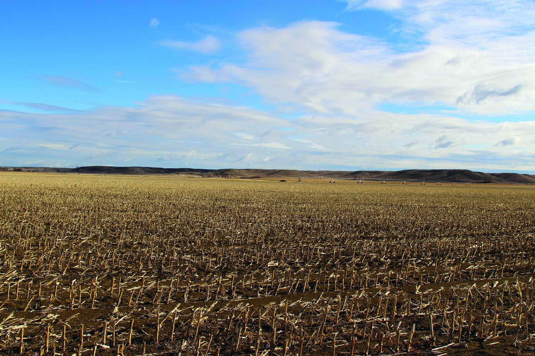 71 Ranch Hysham Farm property picture 8 of 13