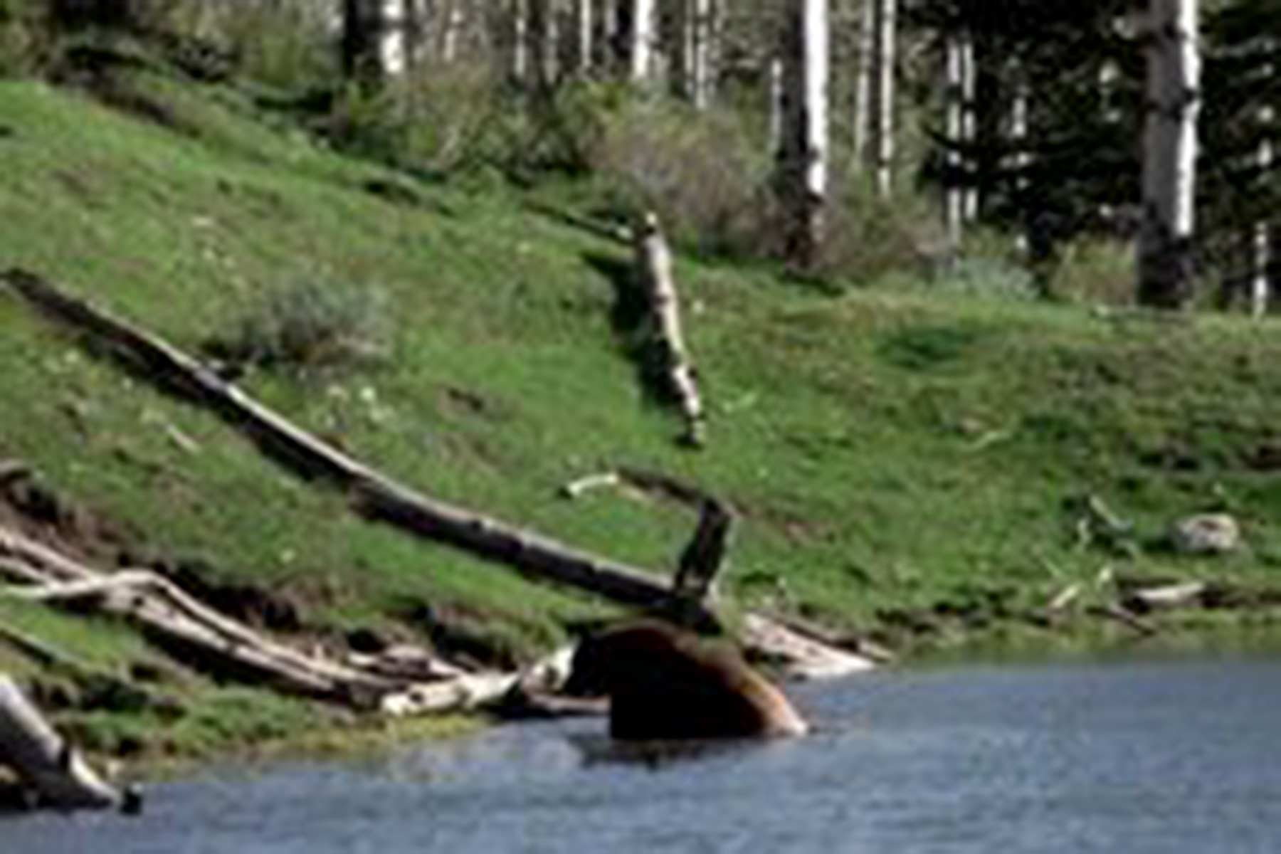 Bitter Creek Ranch property picture 4 of 135