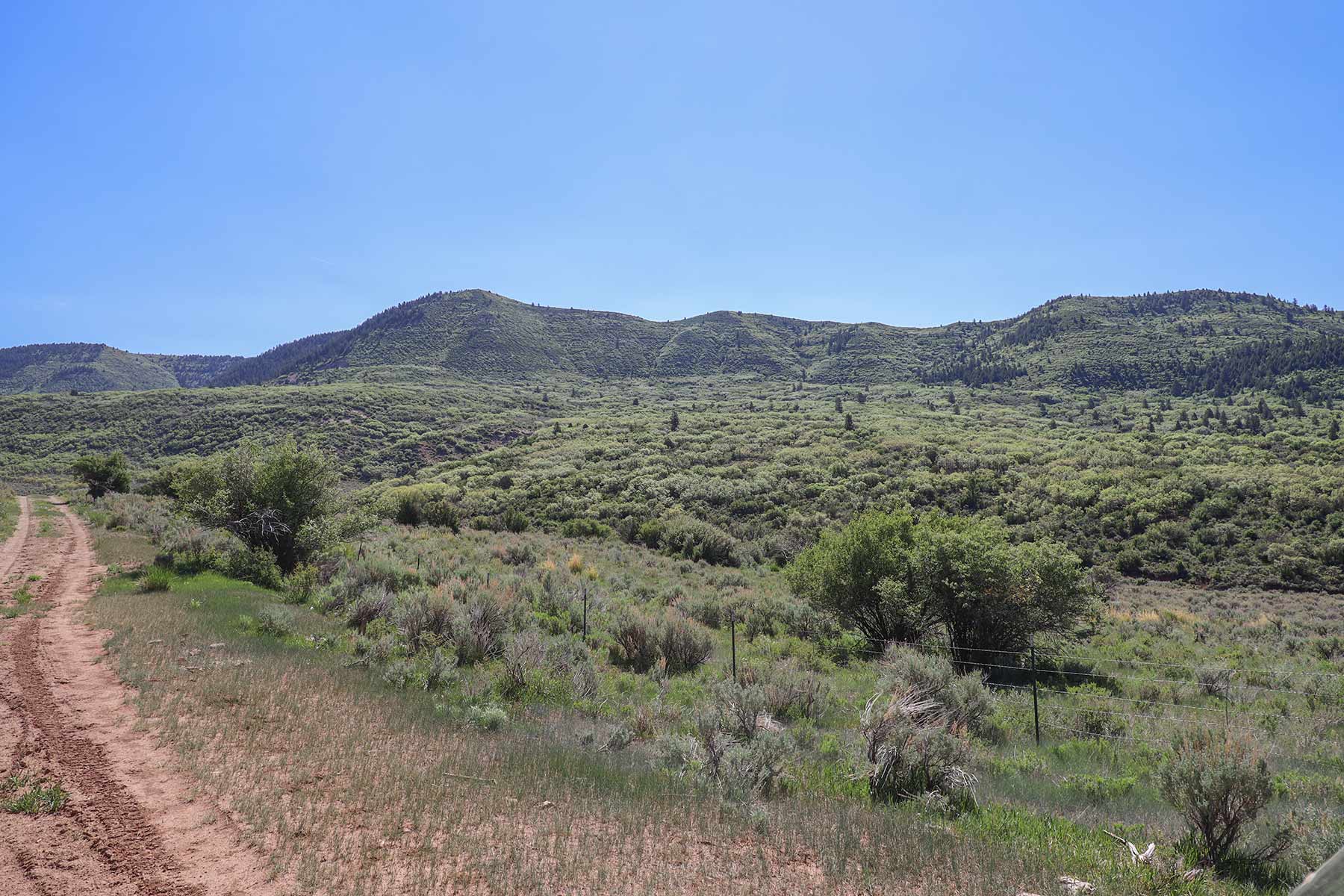 Bitter Creek Ranch property picture 94 of 135