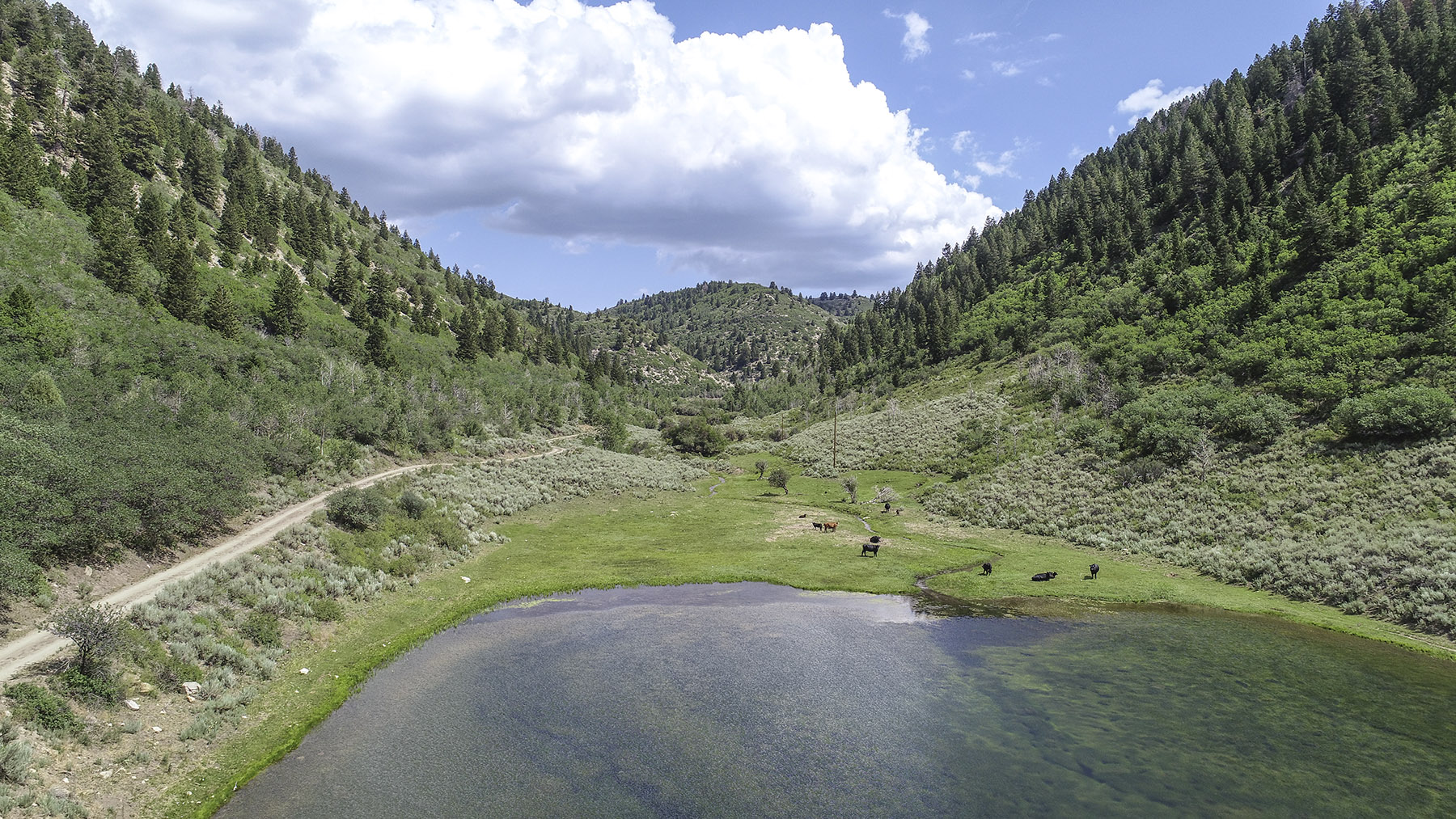 Bitter Creek Ranch property picture 133 of 135